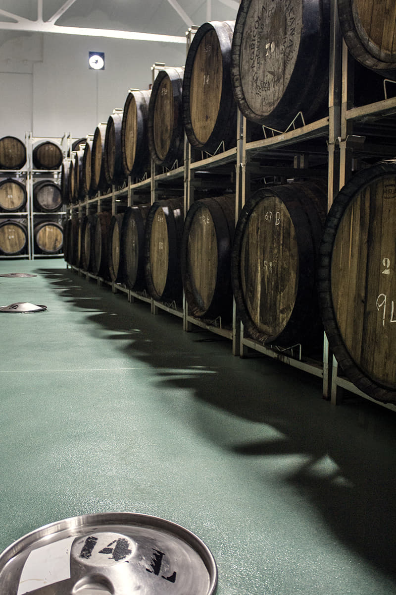 Botas históricas en la sala de crianza de vinos dorados de Bodega Cuatro Rayas.