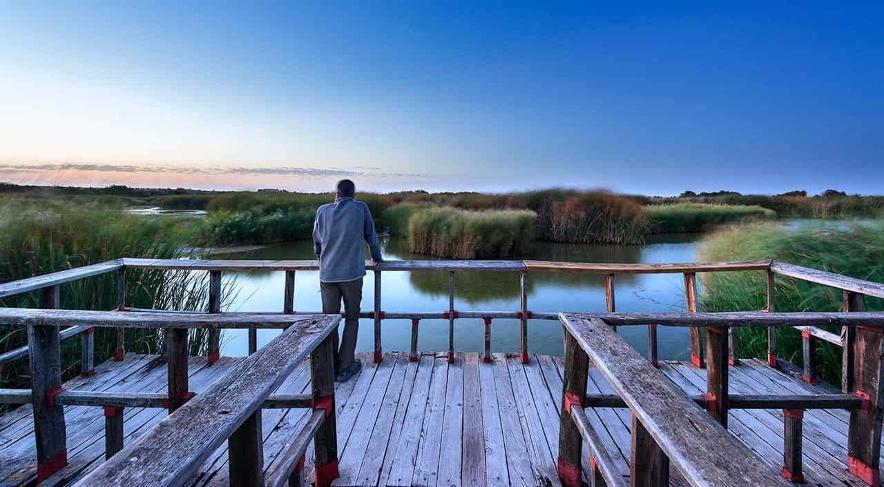 Parque Nacional de Las Tablas de Daimiel