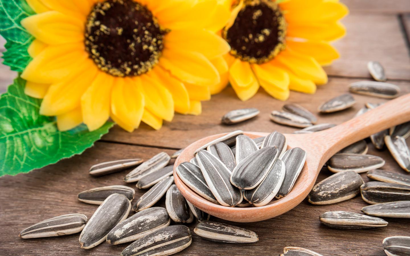 Más de la mitad de los españoles compró pipas de girasol el pasado año